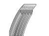 многоклиновый  ремень  V-Ribbed Belt:4PK1560
